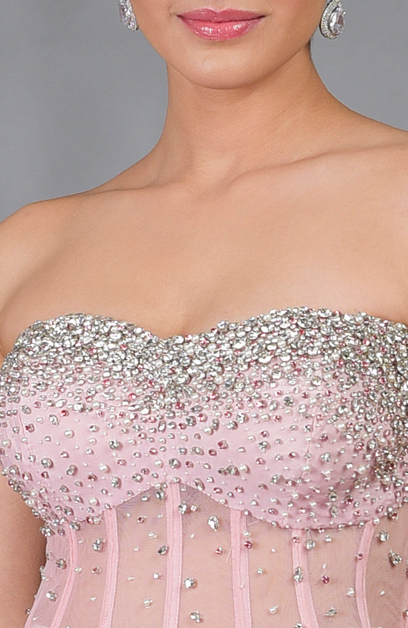 Amor Hand Embroidered Corset with Silver Light Saree