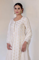 Ivory Banarasi Bootah & Aari Tilla Embroidered Sharara Set