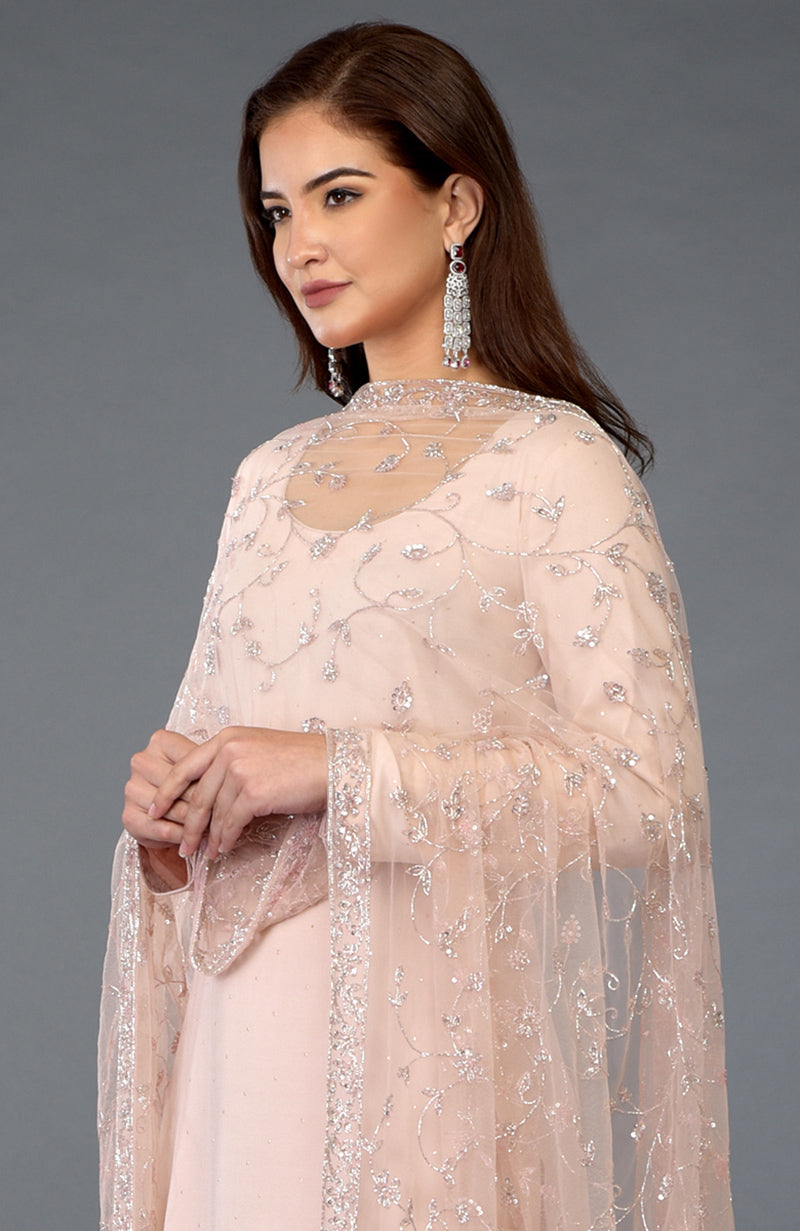 Nude Pink Handcrafted Mukaish Farshi Palazzo Suit