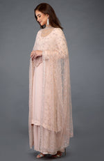 Nude Pink Handcrafted Mukaish Farshi Palazzo Suit