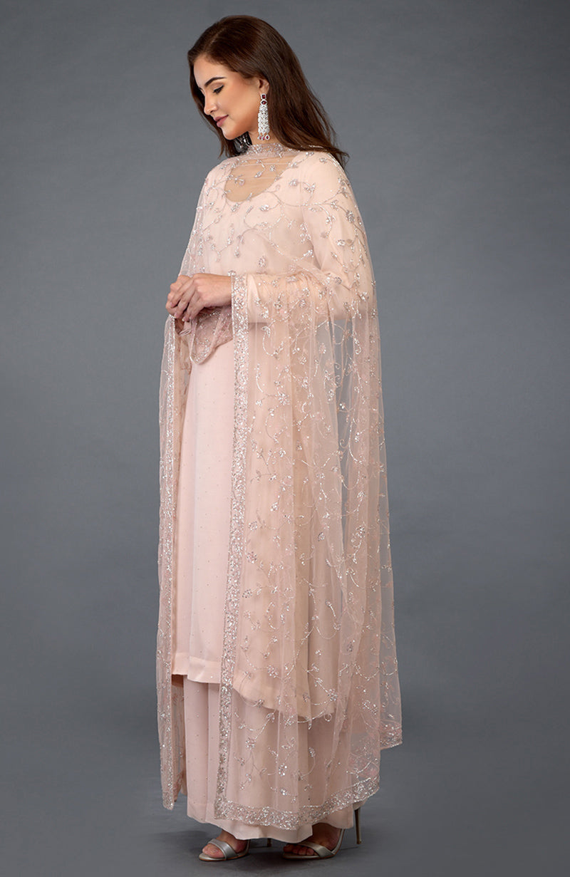 Nude Pink Handcrafted Mukaish Farshi Palazzo Suit