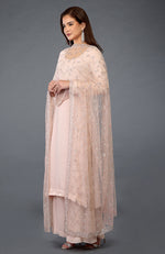 Nude Pink Handcrafted Mukaish Farshi Palazzo Suit