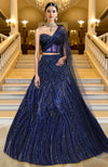 Midnight sapphire blue lehenga with heavy sequin embroidery, corset blouse, and sheer embroidered cape.