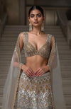 Golden Mirage Sequin Embroidered Mermaid Lehenga Set