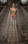 Golden Mirage Sequin Embroidered Mermaid Lehenga Set