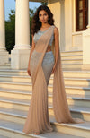 Celestial Grace Sequin Embroidered Drape Saree