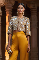 Amber Mirror Shimmer Jacket Set – Jalwa Collection