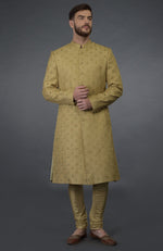 Cream Pintuck Zardozi Embroidered Sherwani Set With Dupatta