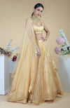 Gold Tissue Circular Flare Lehenga Set