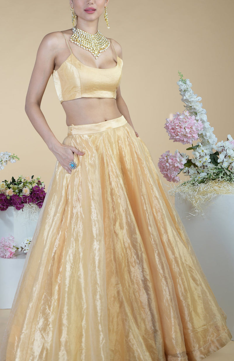 Gold Tissue Circular Flare Lehenga Set