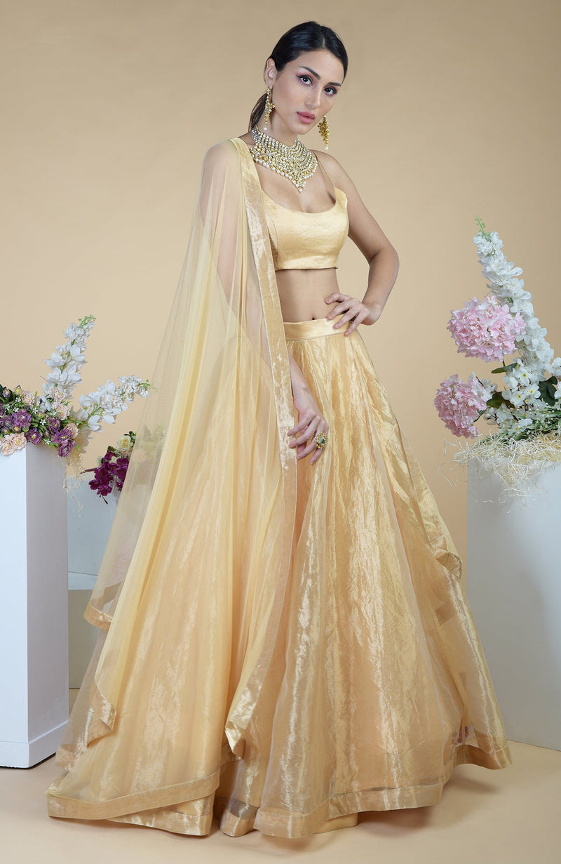 Gold Tissue Circular Flare Lehenga Set