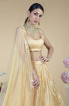 Gold Tissue Circular Flare Lehenga Set