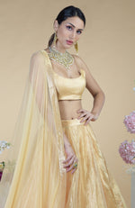 Gold Tissue Circular Flare Lehenga Set