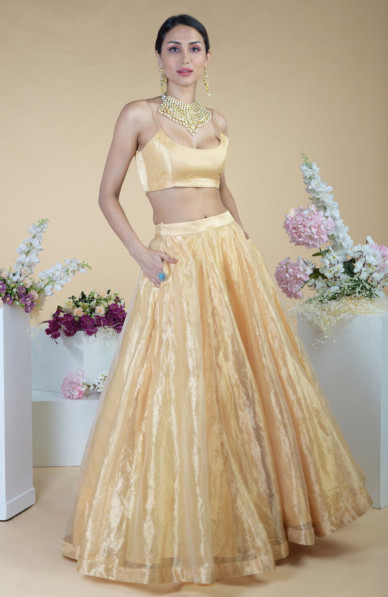 Gold Tissue Circular Flare Lehenga Set