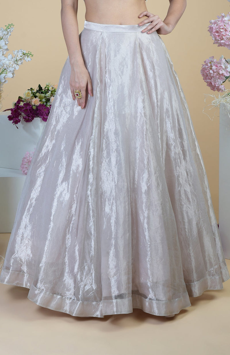 Silver Tissue Circular Flare Lehenga Set