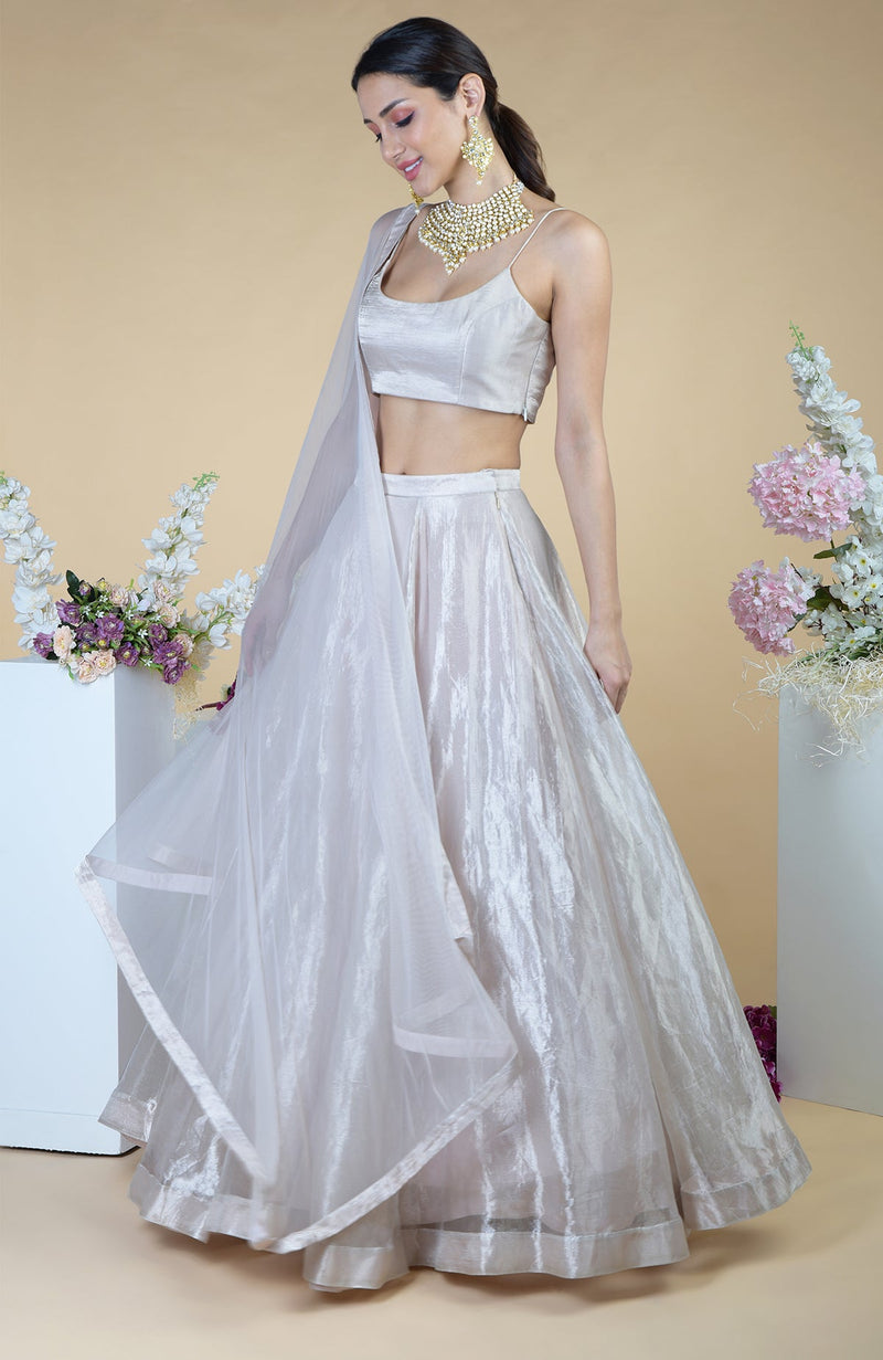 Silver Tissue Circular Flare Lehenga Set