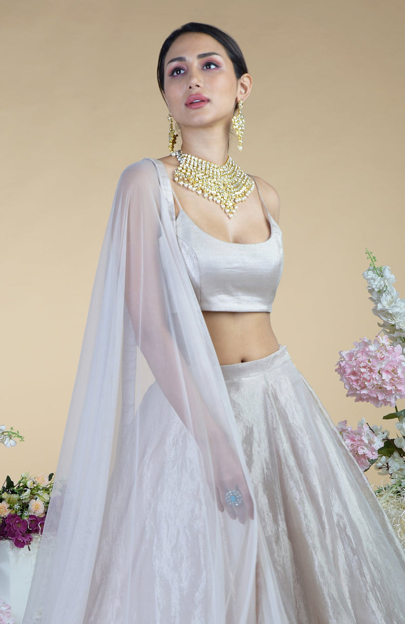 Silver Tissue Circular Flare Lehenga Set