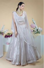 Silver Tissue Circular Flare Lehenga Set
