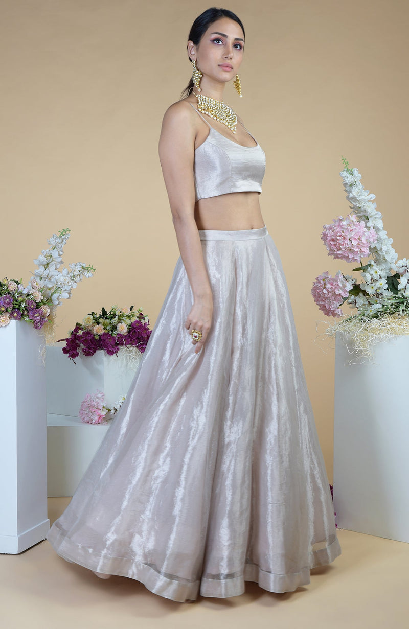 Silver Tissue Circular Flare Lehenga Set