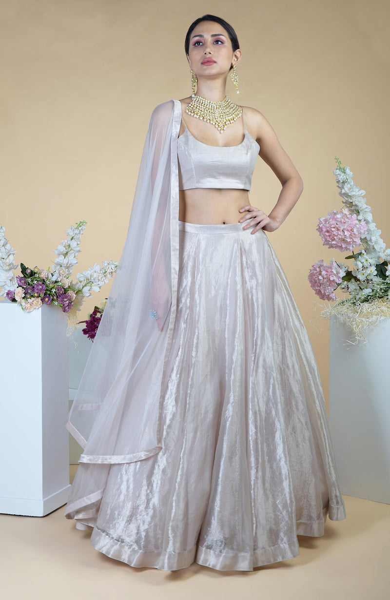 Silver Tissue Circular Flare Lehenga Set