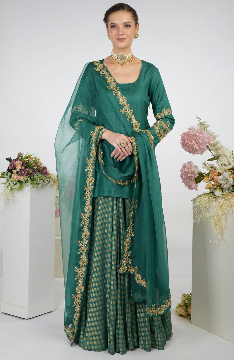 Wine Banarasi Zardozi Kalidaar Skirt Set