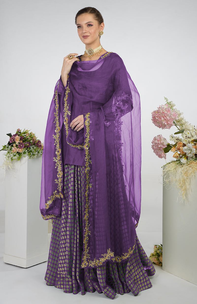 Wine Banarasi Zardozi Kalidaar Skirt Set