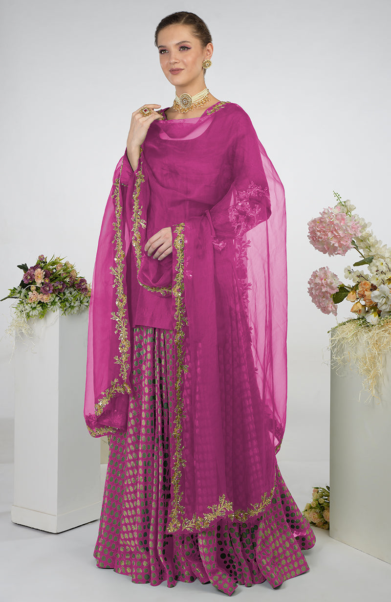 Wine Banarasi Zardozi Kalidaar Skirt Set