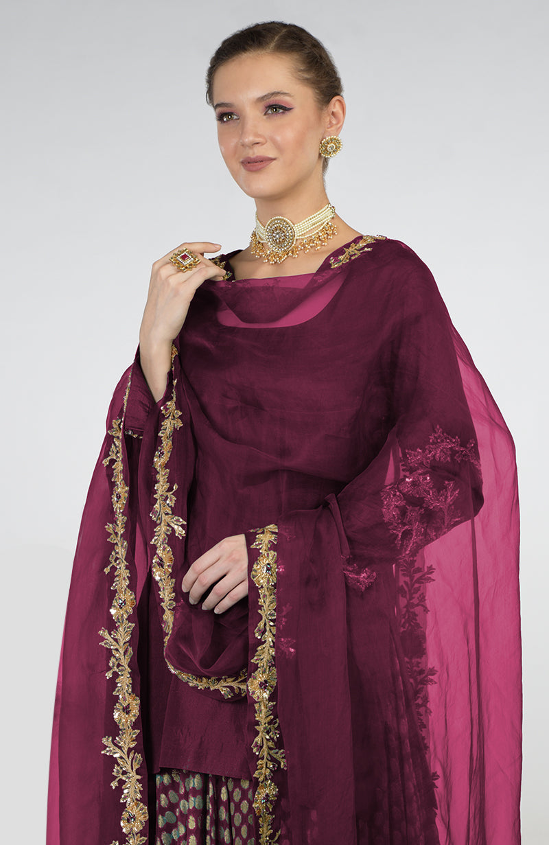 Wine Banarasi Zardozi Kalidaar Skirt Set