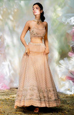 For Keeps Champagne Pink Lehenga Set