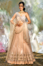 For Keeps Champagne Pink Lehenga Set