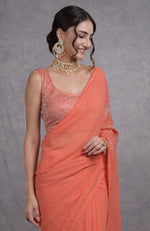 Camellia Peach Tissue Cutwork Hand Embroidered Mukaish Saree