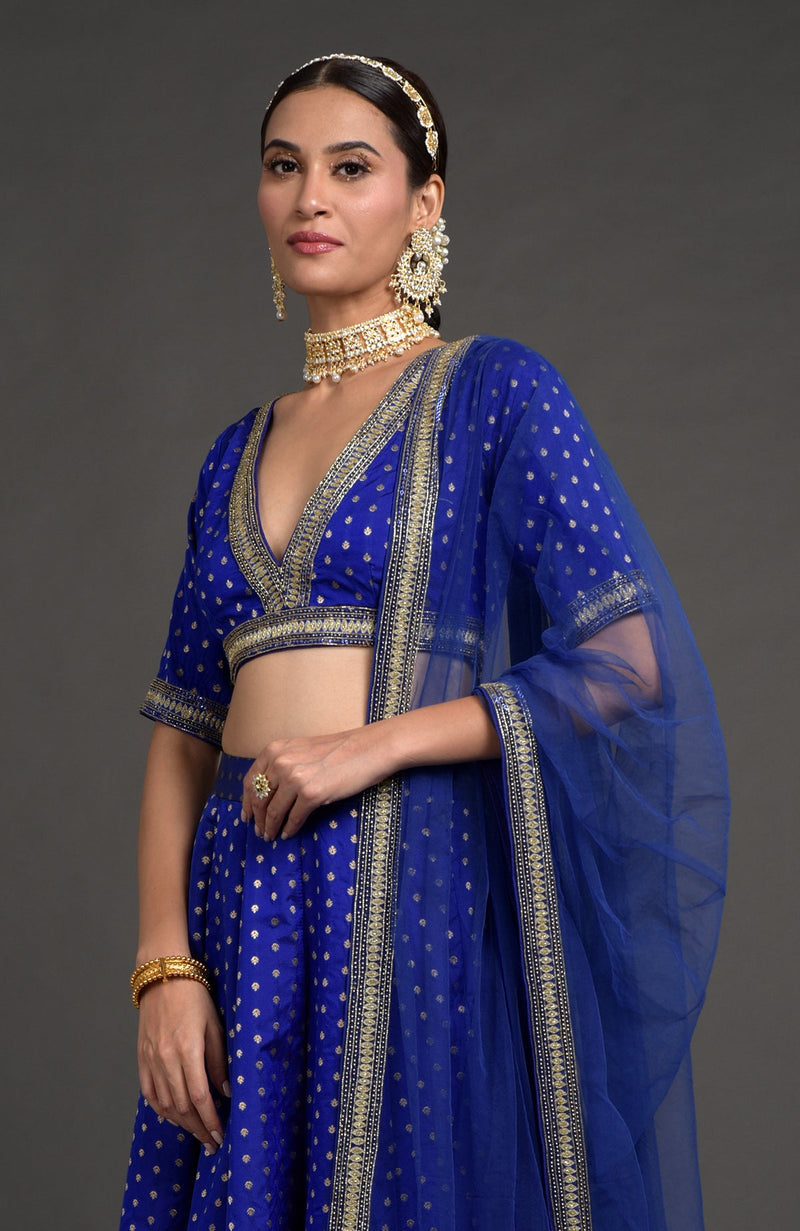 Royal Blue Benarasi Weave Zardozi Dupatta