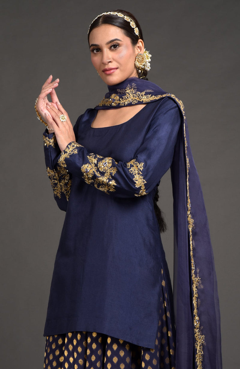 Eclipse Blue Benares Weave Zardozi Embroidered Lehenga Set