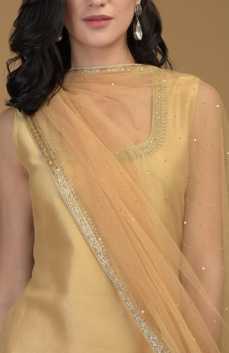 Nude Gold Zardozi Hand Embroidered Dupatta