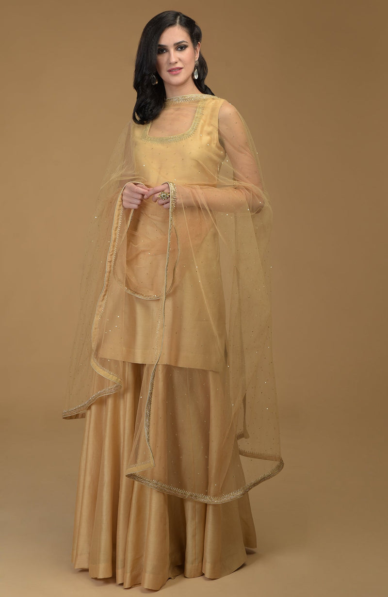 Nude Gold Zardozi Hand Embroidered Dupatta