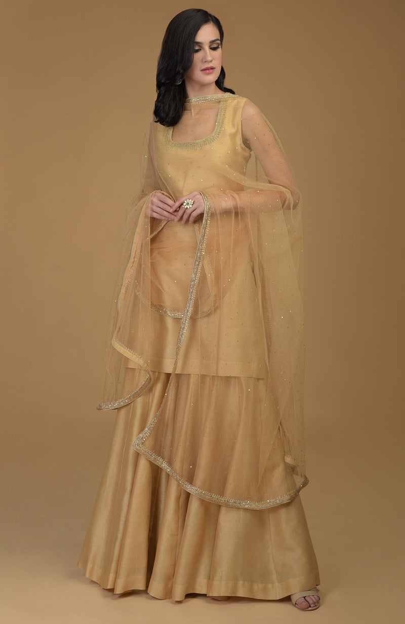 Nude Gold Zardozi Hand Embroidered Dupatta