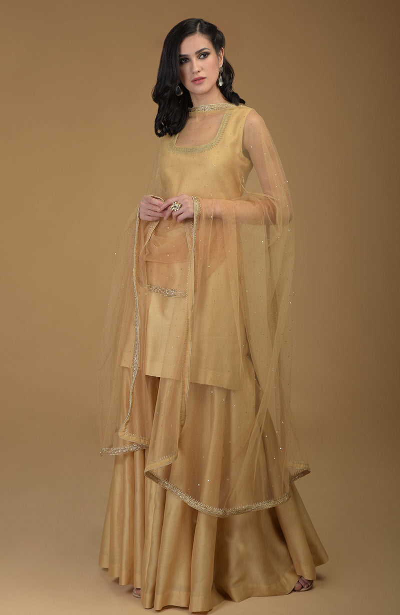 Nude Gold Zardozi Hand Embroidered Dupatta