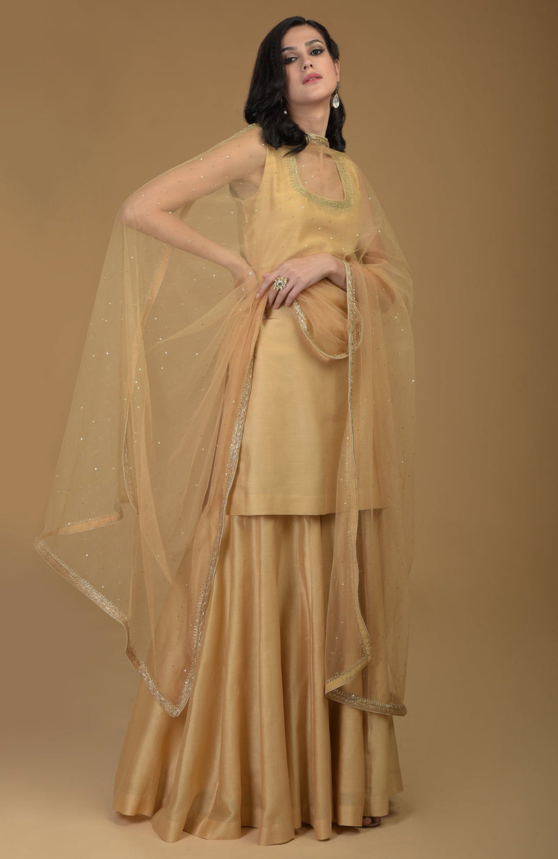 Nude Gold Zardozi Hand Embroidered Dupatta