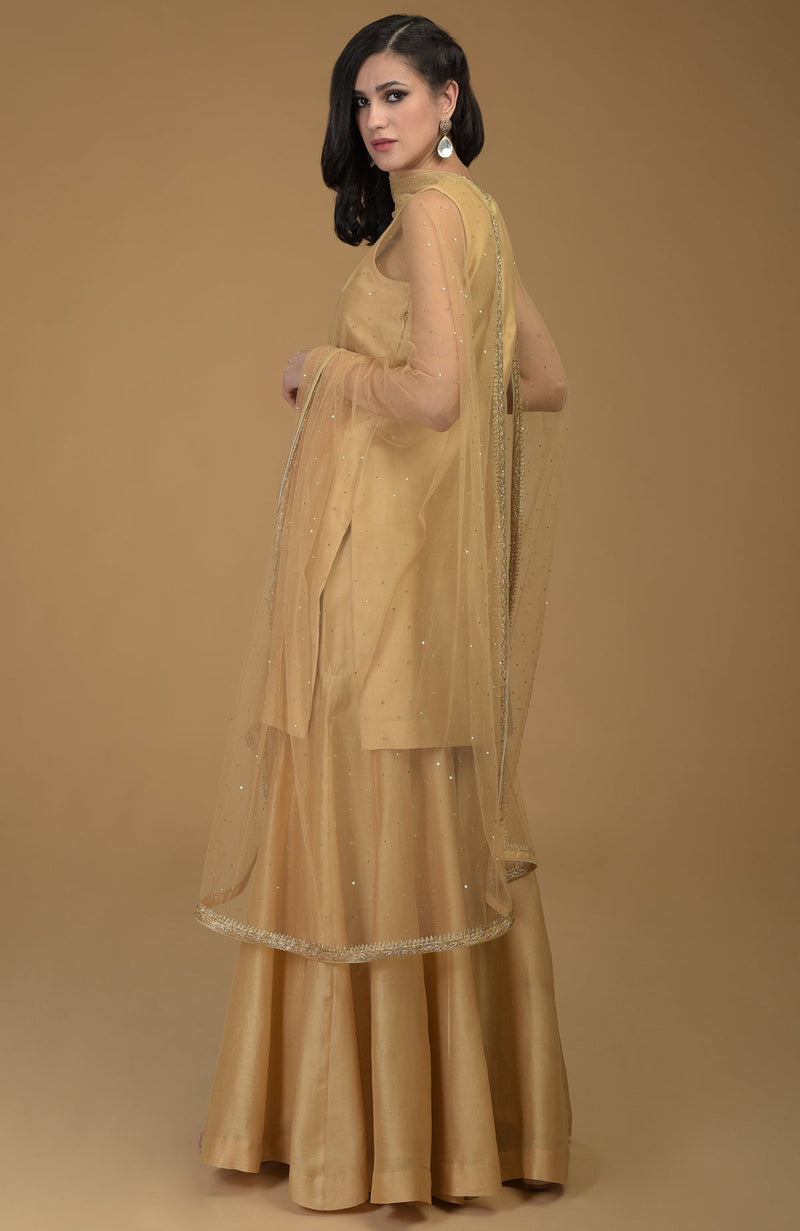 Nude Gold Zardozi Hand Embroidered Dupatta