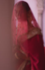 Blood Red- Gold Zardozi Hand Embroidered Pure Silk Saree