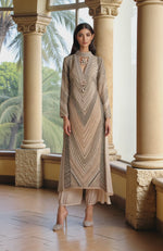 Champagne Beads and Sequin Embroidered Kurta set